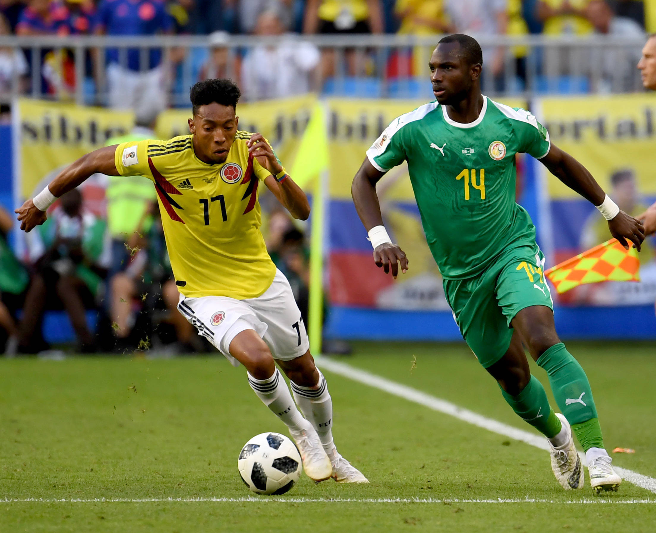 无畏的意志 无畏的意志